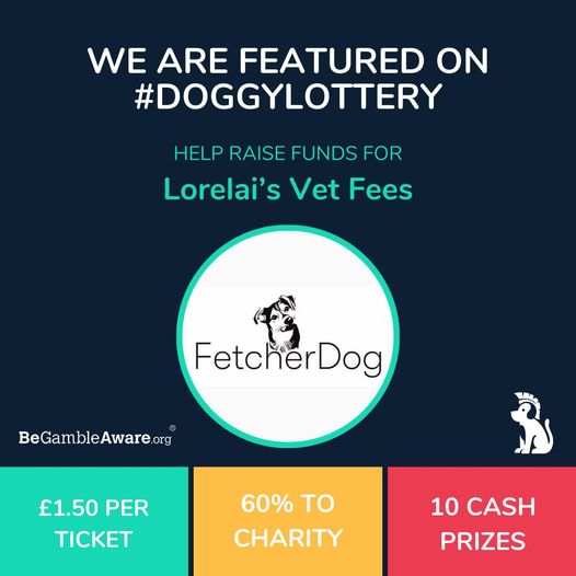 Fetcher Dog are featured on Doggy Lottery to help raise funds towards Lorelai's Cancer bills!