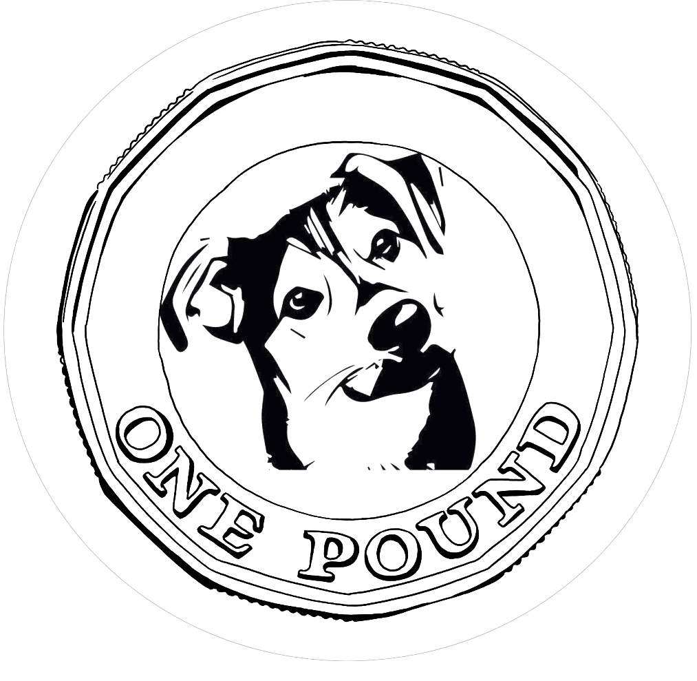 Please support Fetcher Dog's 'A Pound for a Hound' Appeal