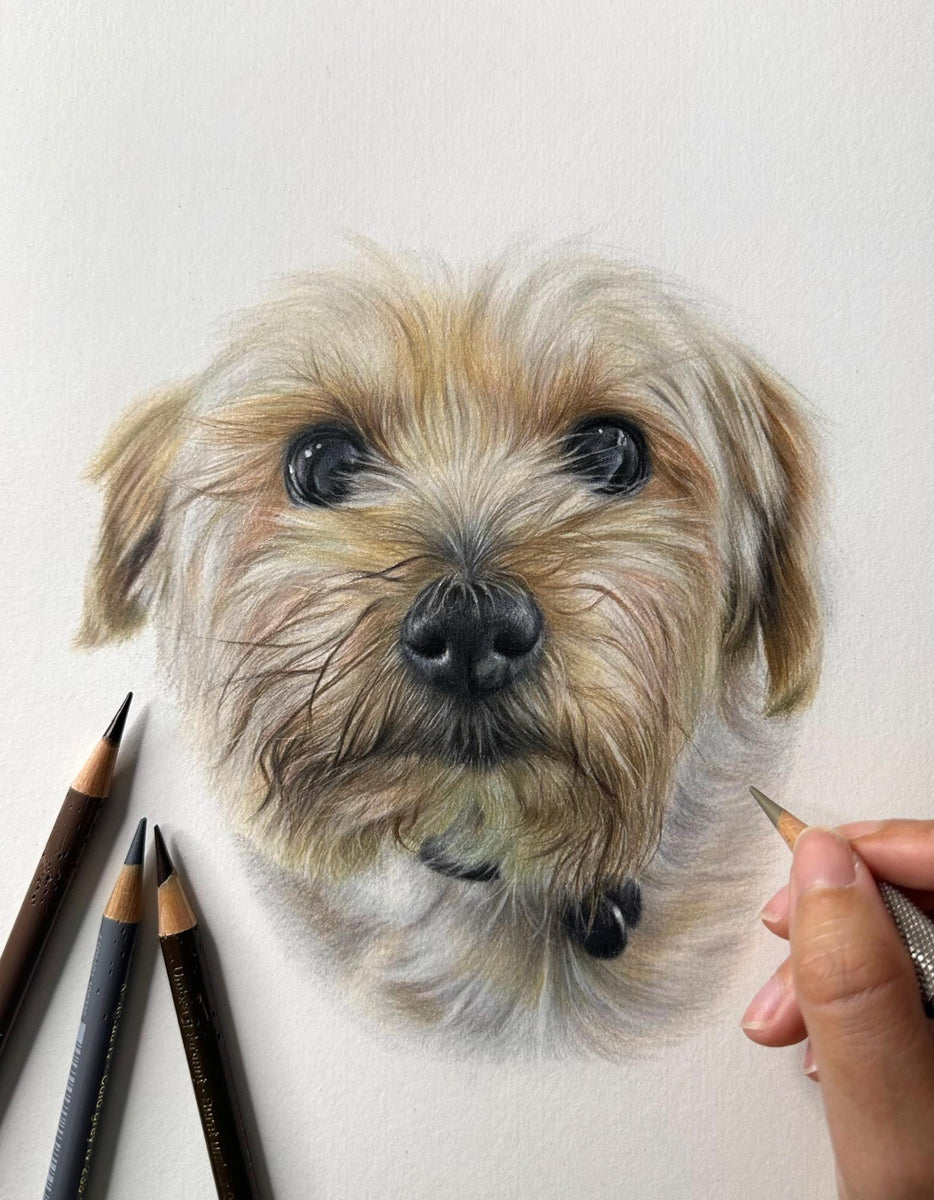 Enter the Fetcher Dog Raffle to win a beautiful pet portrait by Ruby W