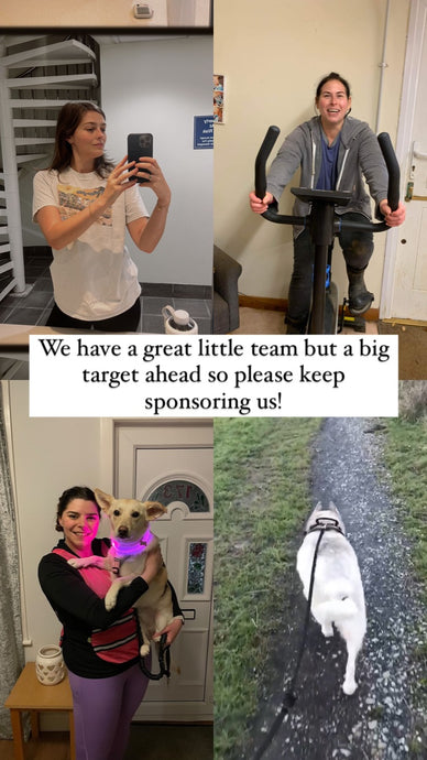 The Big Give Christmas Challenge - Day 2