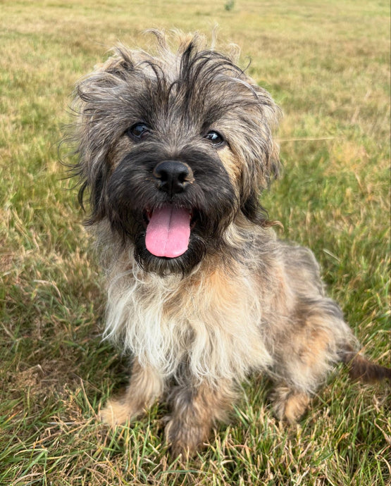 New Arrival! - Say hello to this angel!!
