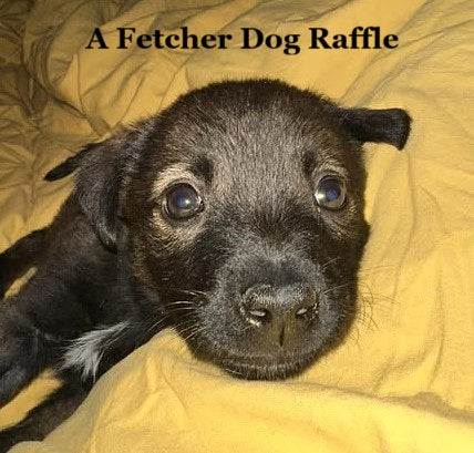 Raffle!! - Win a £300.00 Airbnb Voucher!