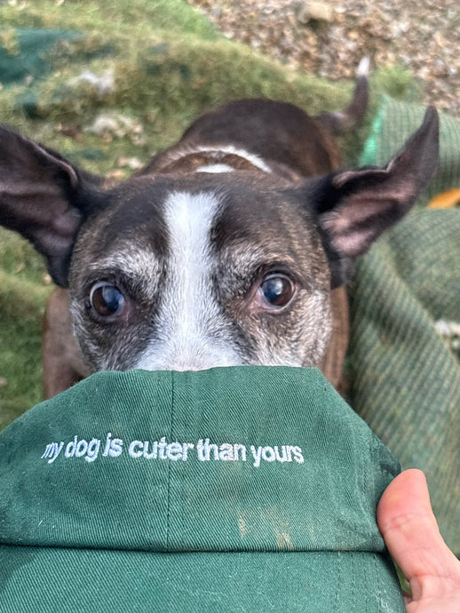 Fetcher Dogs caps are available now!!