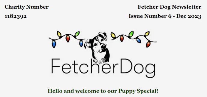 Subscribe to receive a copy of the Fetcher Dog December Newsletter!!