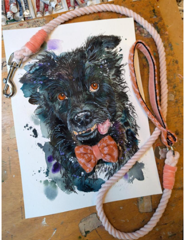 We are teaming up with Tori Ratcliffe and Stocky and Dee to raise funds for sanctuary dog Stella.