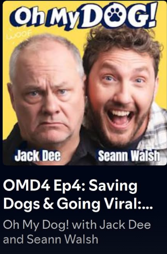 Fetcher Dog co-founders Stephanie and Jordan appear on the 'Oh My Dog' podcast!