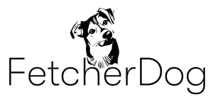 Fetcher Dog Charity